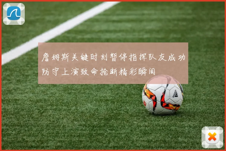 詹姆斯关键时刻暂停指挥队友成功防守上演致命抢断精彩瞬间