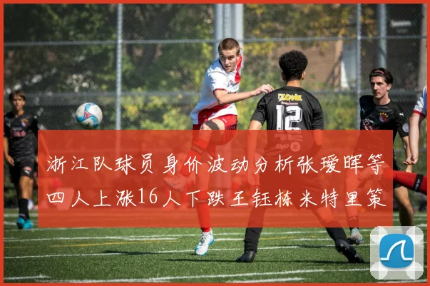 浙江队球员身价波动分析张瑷晖等四人上涨16人下跌王钰栋米特里策保持不变